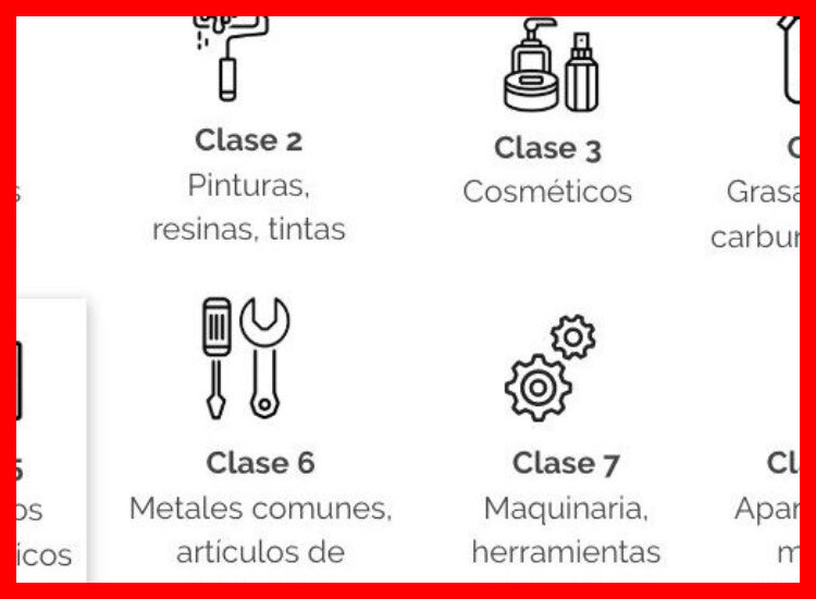 1. Comprender los tipos de marca y clases NIZZ
