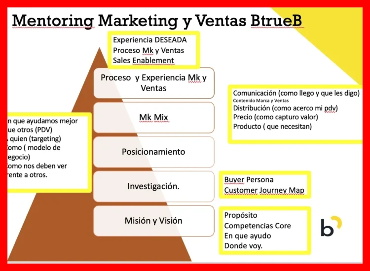 2. Servicios de consultoría o mentoring especializado