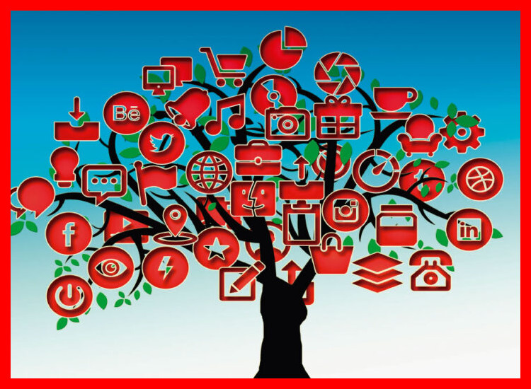 4. Redes Sociales: Enfoque en Comunidad, no en Alcance Masivo