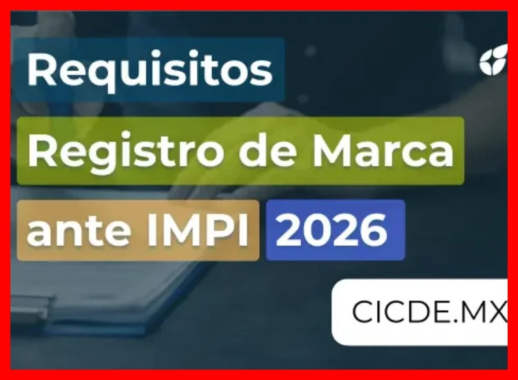 ¿Cuáles son los requisitos básicos para iniciar el trámite de registro de marca ante el IEPI sin un abogado?