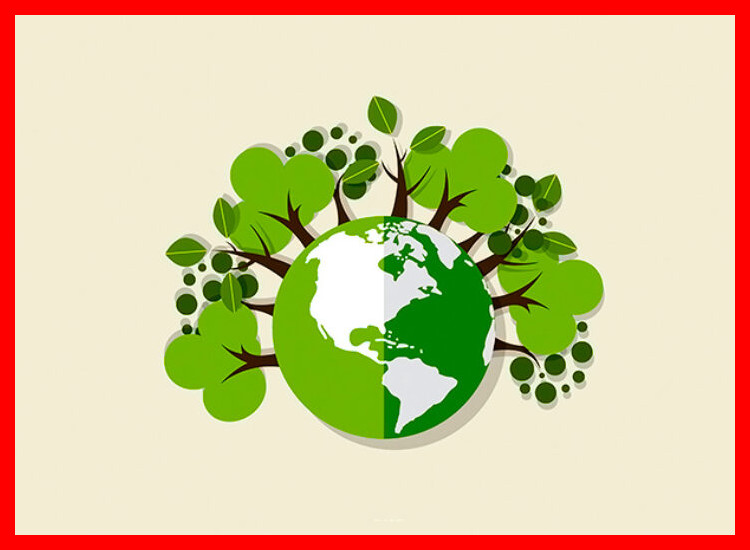 ¿Es rentable un emprendimiento basado en productos ecológicos?