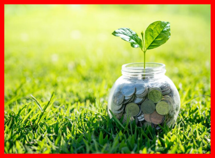¿Qué aspectos financieros y legales son críticos al recibir capital semilla?
